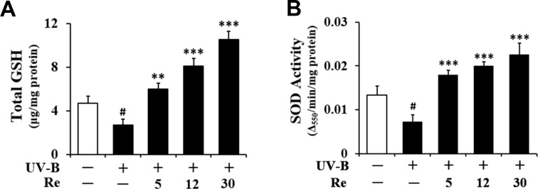 Enhancing effects of Re on total glutathione (GSH, A) and superoxide dismutase (SOD, B) activity levels in cellular lysates prepared from HaCaT keratinocytes under irradiation with 70 mJ/cm2 UV-B radiation. The HaCaT cells were subjected to the indicated concentrations (0, 5, 12 and 30 μM) of Re for 30 min before the irradiation. In A, total GSH content, expressed as μg/mg protein, was determined with enzymatic recycling assay using GR. In B, total SOD activity, expressed as Δ550/min/mg protein, was measured using a spectrophotometric assay. The relative band strength, expressed as % of control, was determined with densitometry using the ImageJ software which can be downloaded from the NIH website. #P < 0.05 versus the non-irradiated control; **P < 0.01, ***P < 0.001 versus the non-treated control (UV-B irradiation only