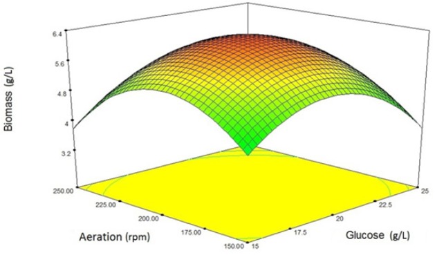 Three-dimensional diagram of the interaction of variables (glucose concentration and aeration) affecting the production of biomass