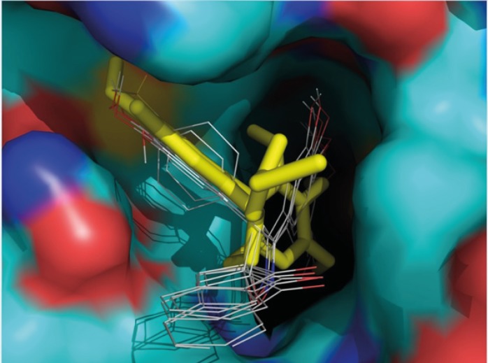 Three-dimensional superimposed representations of the colchicine (yellow and stick) and spiroisoxazoline compounds (1-5) (colored according to the atom type) docked at the colchicine binding site of tubulin using GOLD. 3D images were generated using PyMOL v0.99.