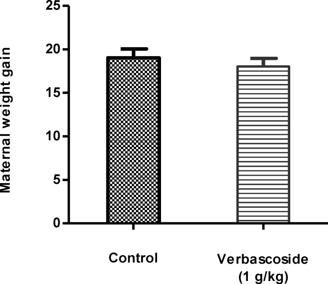 Effect of verbascoside on maternal weight gain during pregnancy. Data are shown as mean ± SEM. The difference between two groups is not statistically significant (T-test