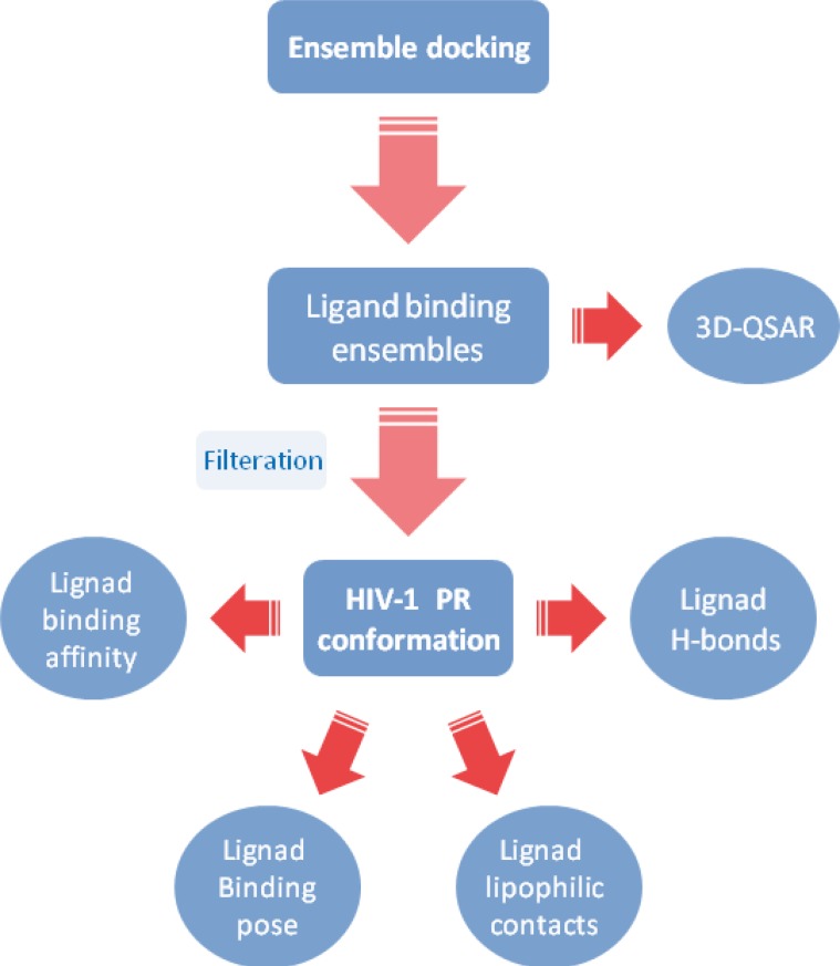 A typical flowchart representing an ensemble docking protocol for HIV-1 PR inhibitors