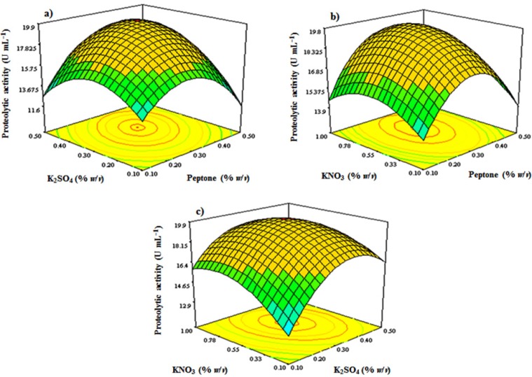 Response surface plots showing combined effects of (a) K2SO4 and peptone, (b) KNO3 and peptone, and (c) KNO3 and K2SO4 on S. marasensis proteolytic activity at the central values of all other parameters concentrations