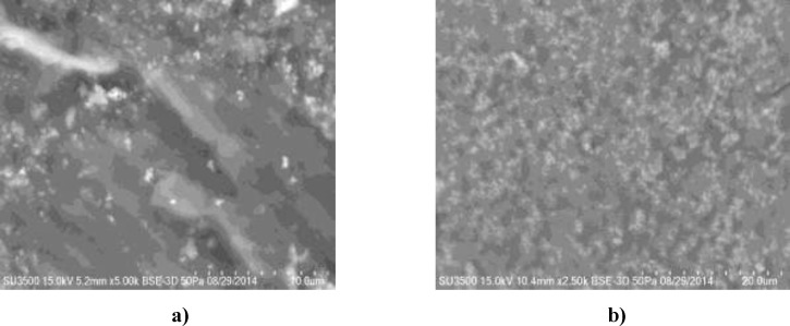 Scaning electron microscopy of titanium nanoparticles synthesized using E. purpurea herba extract. The scale bar: a) 10 μM, b) 20 μM