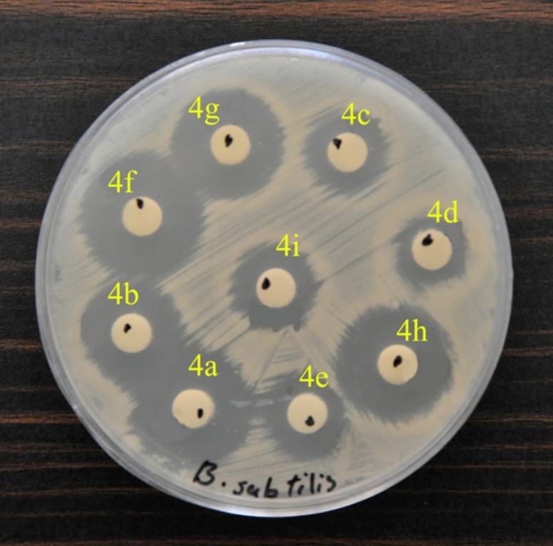 Disk-diffusion testing of antimicrobial susceptibility to the synthesized compounds