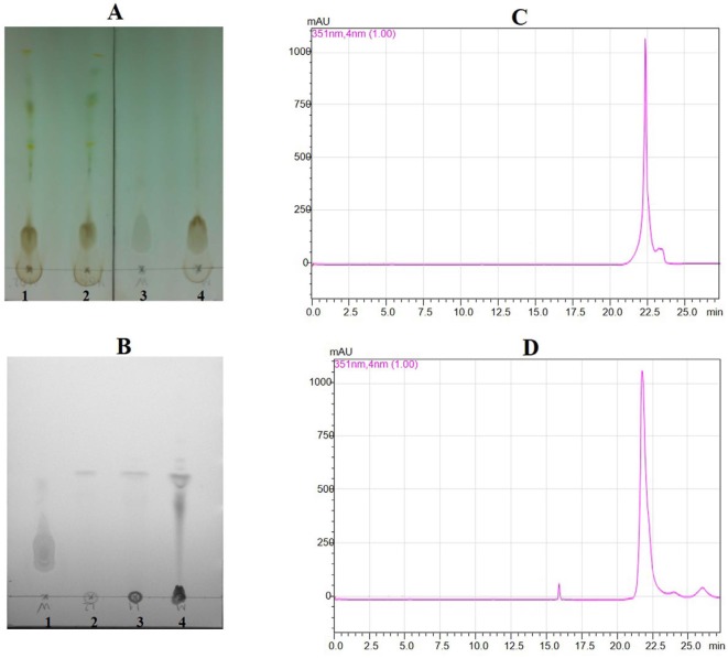 Thin layer chromatography for crude sample and partial purified sample, and HPLC for standard wedelolactone and sample wedelolactone. (A) Transfer crude sample extract in TLC (1,2,4: cude sample; 3 for standard wedelolactone). (B) Transfer partial purified sample in TLC (1: standard wedelolactone; 2, 3, 4: partial purified sample). (C) HPLC figure for standard wedelolactone. (D) HPLC Figure for sample wedelolactone
