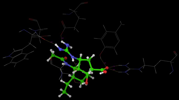 Hydrogen bond interaction of Oseltamivir