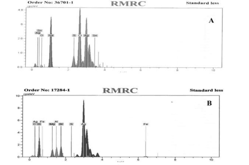 EDX spectra of IKAg (A) and PKAg (B).