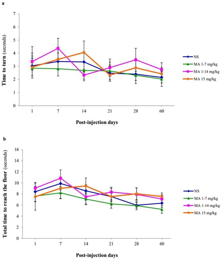 Motor performance and coordination using pole test. Rats received repeated escalating (1-7 mg/kg; n = 12, or 1-14 mg/kg; n = 10), or constant doses of MA (15 mg/kg; n = 10). Rats treated with normal saline (NS) served as controls (n = 12). (a) Time to turn and orient downward and (b) total time to traverse the pole (B) were measured on 1, 7, 14, 21, 28 and 60 days after final injection. Values are expressed as mean ± SEM. Repeated-measures ANOVA revealed no significant difference in time to turn and total time between groups