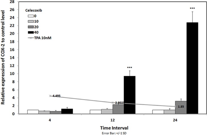 COX-2 mRNA expression in MDA-MB-231 cell line under treatment with and without celecoxib. Line chart shows the results of cells that were treated with TPA 10 nM lonely. Bar chart indicated the results of cells that were treated with TPA 10 nM in combination with celecoxib 0-40 µM for 4-24 h. Real-time RT-PCR analysis was performed on total RNA extracted from control and treated cells. Values were normalized to the β-actin content of samples. The results were expressed as the target/reference ratio of the treated samples divided by the target/reference ratio of the untreated control sample and expressed as mean ± SD (n = 3); *, p < 0.05; **, p < 0.01; ***, p < 0.001