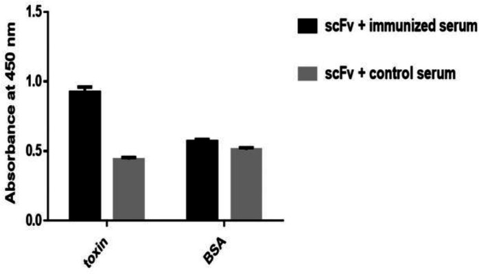 Specificity of scFv antibody. Venom and BSA was captured between polyclonal scFv and rat polyclonal antibodies