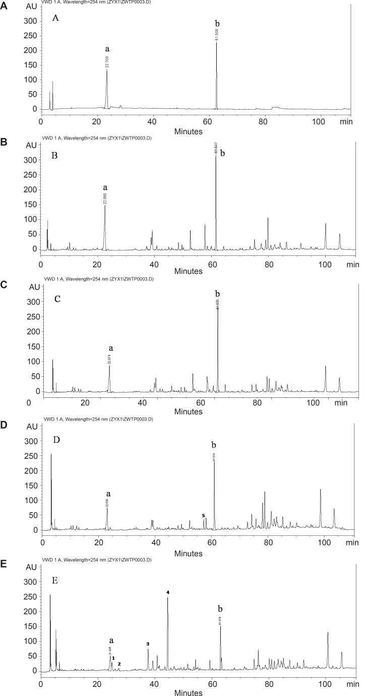 Chromatograms of the components at 254 nm in licorice Standards (B)The group of H (C) The group of HCK (D) The group of A (E) The group of ACK. Peak a: liquiritin; Peak b: glycyrrhizic acid. Peal 1-5: the obvious difference in constituents between the sample A and ACK.