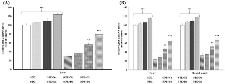 Real-time PCR of the mRNA expression levels of (A) Glut-2 and (B) Glut-4, in the non-diabetic control group (NC, n = 12), non-diabetic group (a, b and c) treated with PE (PE+N, n = 12), diabetic control group (DC, n = 12), and diabetic group (a, b and c) treated with PE (PE+D, n = 12). Value ratios are expressed as a percentage relative to DC rats. 18s RNA was used as an internal control (n = 3). The mean of six independent experiments is shown. *Significantly different from DC group