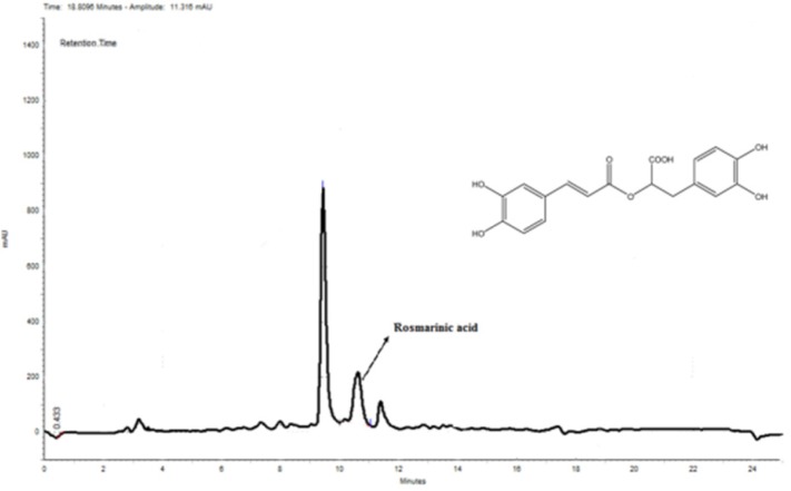 HPLC chromatogram of MeOH extract. Rosmarinic acid was used as a standard. According to the obtained standard curve (Y = 0.0182X - 0.0002) (data is not shown), the amount of rosmarinic acid was 10.35 mg in 1000 mg of the extract
