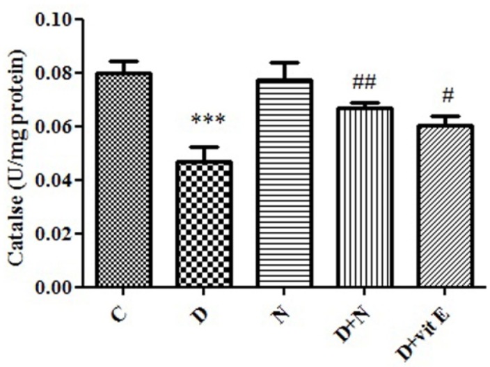 Effect of Nanoceria on Catalase activity in embryo tissue. Catalase activity was measured in C (Control mice), N (Mice that received Nanoceria for 16 days), D (Diabetic mice), D + N (Diabetic mice that received Nanoceria for 16 days), D + E (Diabetic mice that received vit E for 16 days). Values represented as mean ± SD (n = 6). ***P < 0.001 compared with control mice, #P < 0.05, ##P < 0.01 compared with diabetic mice.