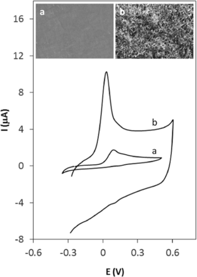 Cyclic voltammograms of 0.4 µM Hy-HCl in 0.1 M PBS (pH 7.0) at (a) GCE and (b) MWCNT/GCE with 60 sec accumulation time