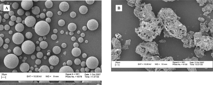 CDM microspheres before (A) and after (B) freeze-drying