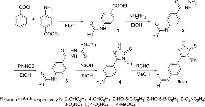 General synthetic pathway for the synthesis of triazole Schiff bases.