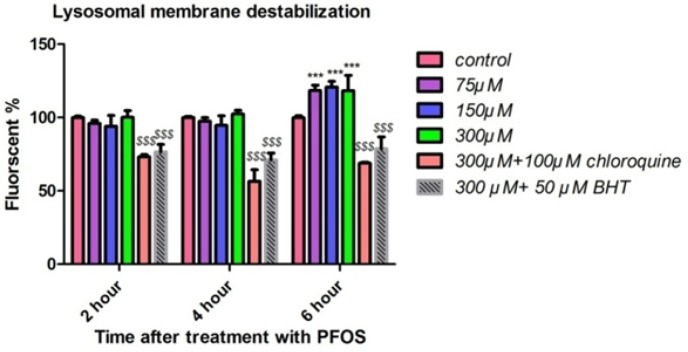 Human lymphocytes’ lysosomal membrane integrity after treatment with PFOS. Destabilization of lysosomal membrane in human lymphocytes after treatment with PFOS. Measurement of acridine orange (a tertiary amine that accumulates in lysosome) redistribution to cytosol was used as an indicator of damage to lysosomal membrane. One-hundred fifty and tree-hundred µM PFOS significantly (P < 0.05) induced lysosomal membrane leakage after 6 h incubation in comparison with control. BHT and chloroquine attenuated PFOS-induced lysosomal membrane destabilization.*P < 0.05, **P < 0.01 and ***P < 0.001.