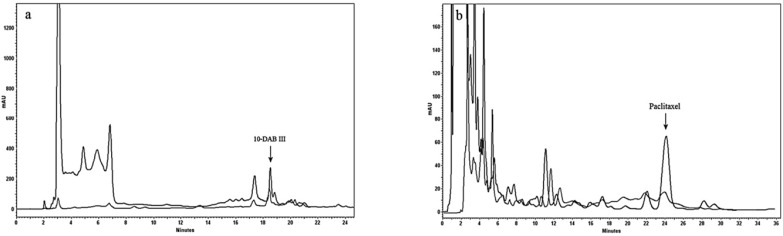 Analytical HPLC chromatogram comparing using Diaion® HP-20 as column (black) and as dispersing agent (gray). Separation conditions involved a mobile phase composition of water: acetonitrile (70:30). The flow rate was 1.0 mL/min, with an injection volume of 20 µL. Detected at 230 nm