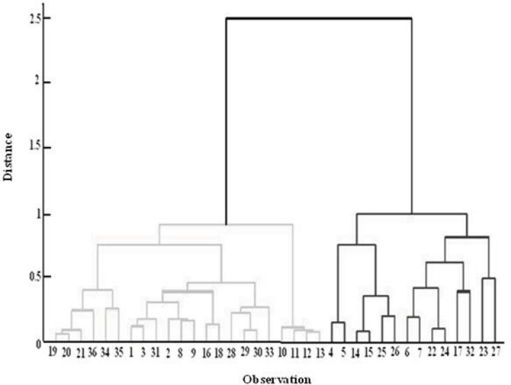 Dendrogram of cluster analysis according to ward distance calculation.