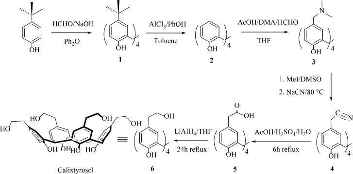 Synthetic pathway to calixtyrosol