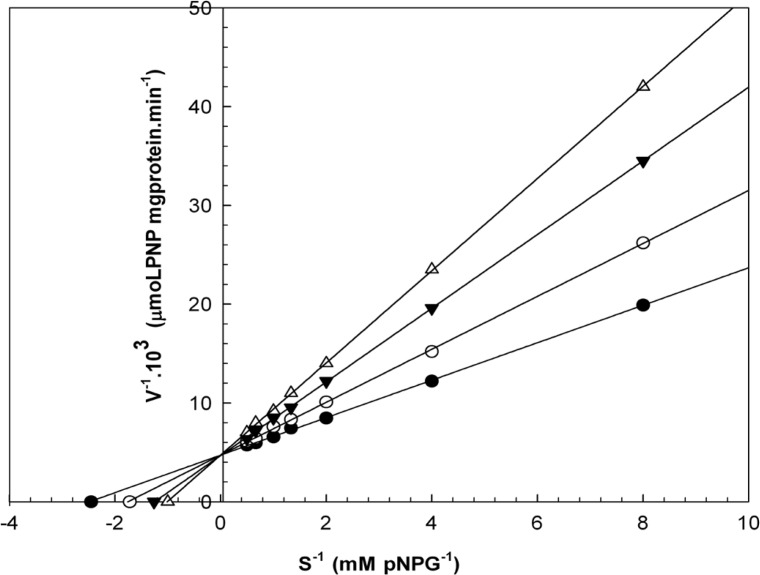 Lineweaver-Burk plots derived from the inhibition of α-glucosidase by essential oil. α-glucosidase was treated with each stated concentration of pNPG (0.125-2 mM) in the absence and presence of essential oil. The concentrations of essential oil were: (●) no inhibitor; (○) 0.458 μL/mL; (▼) 0.950 μL/mL; and (Δ) 1.830 μL/mL. The enzyme reaction was performed by incubating the mixture at 37ºC for 30 min.