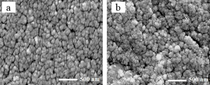 An electron microscope image of the synthesized nanoparticles was used to an examination of the shape and size of them. (a) iron oxide nanoparticles. (b) iron oxide nanoparticles-loaded Hydroxyurea
