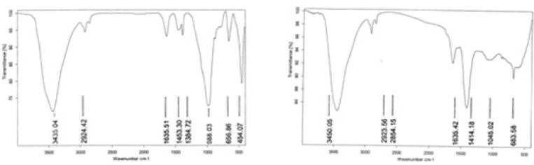FTIR spectra of IKAg (A) and PKAg (B) at a region of 500-3500 cm-1.