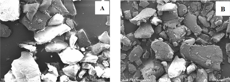 Scanning electron microscopy images of (A) OSF-SD2 (PVP K30 + Poloxamer 188) and (B) OSF-SD4 (PEG 6000 + Poloxmamer 188). Magniﬁcations are shown for each sample 100×.