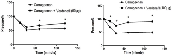 Local, dose-dependent (50 µg/kg, i.pl (a) or 100 µg/kg, i.pl (b) ) antinociceptive effect of sildenafil in the carrageenan hyperalgesia test. Each point represents the mean ± S.E.M. (n = 10). *p < 0.05 when compared to control group