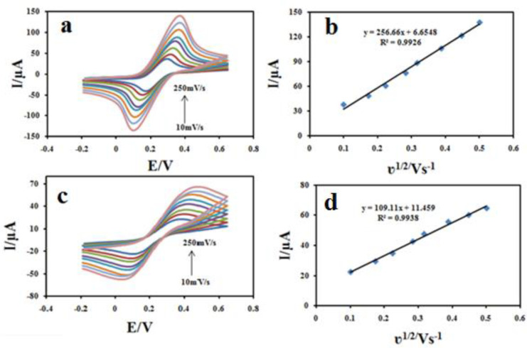 Cyclic voltammograms s of 1 mM (Fe(CN)6 )3-/4- in 0.1 M KCl at various scan rates (a-i) (10-250 mV s-1) on Fe3O4@PPy–CuII/CILE (a) and CILE (c); The slope of Ipa vs. v1/2 for 1 mM (Fe(CN)6 )3-/4- on Fe3O4@PPy–CuII /CILE (b) and CILE (d).