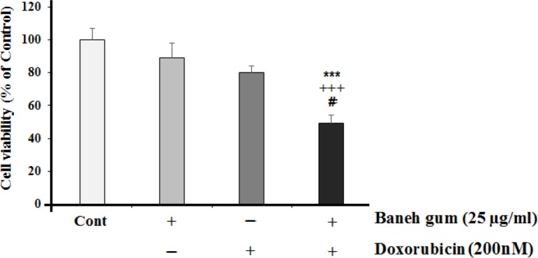 Effects of 25 µg/mL of Baneh gum alone or in combination with doxorubicin (200 nM) on MCF-7 cells. Combination treatment in comparison with each drug alone can induce significant cell toxicity. Each value in graph represents the mean ±SEM; n = 6 wells for each group; ***P < 0.001 significantly different versus control treated cells, +++P < 0.001 significantly different versus gum alone treated cells, #P < 0.05 significantly different versus doxorubicin alone incubated cells