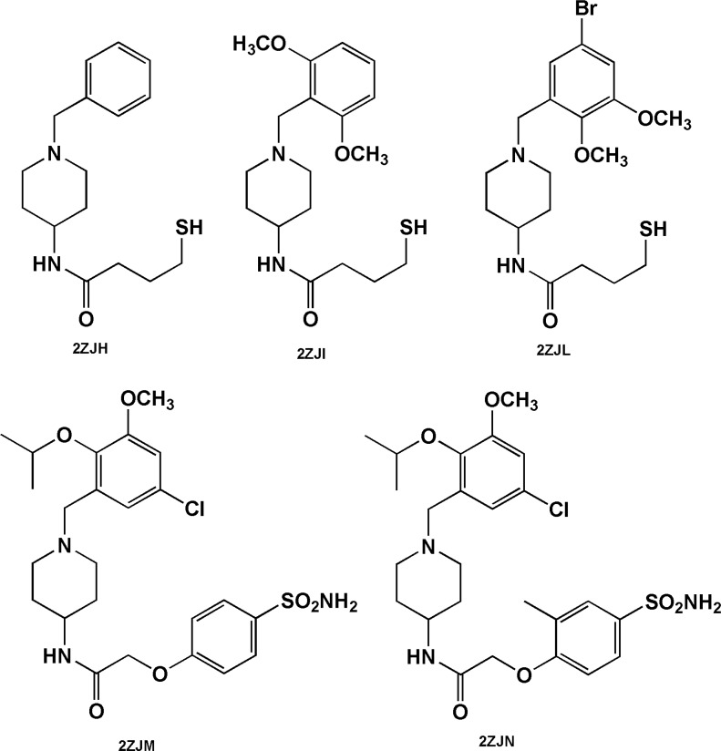 Benzylpiperidine-based BACE-1 inhibitors including mercaptobutanamide (2ZJH, 2ZJI and 2ZJL) and phenoxyacetamide (2ZJN, 2ZJM) side chains