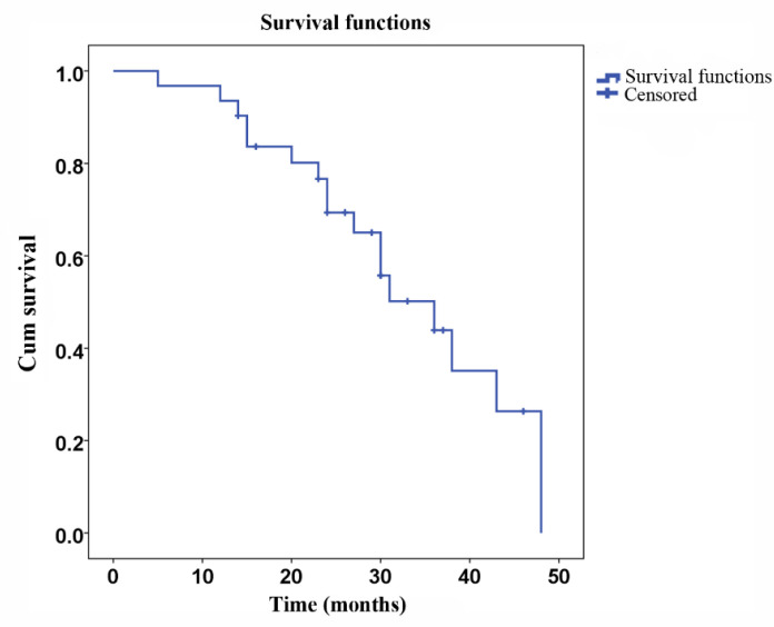 OS after surgical therapy. Kaplan-Meier plot of OS for 31 gastric cancer patients. The median OS was 32.9 months