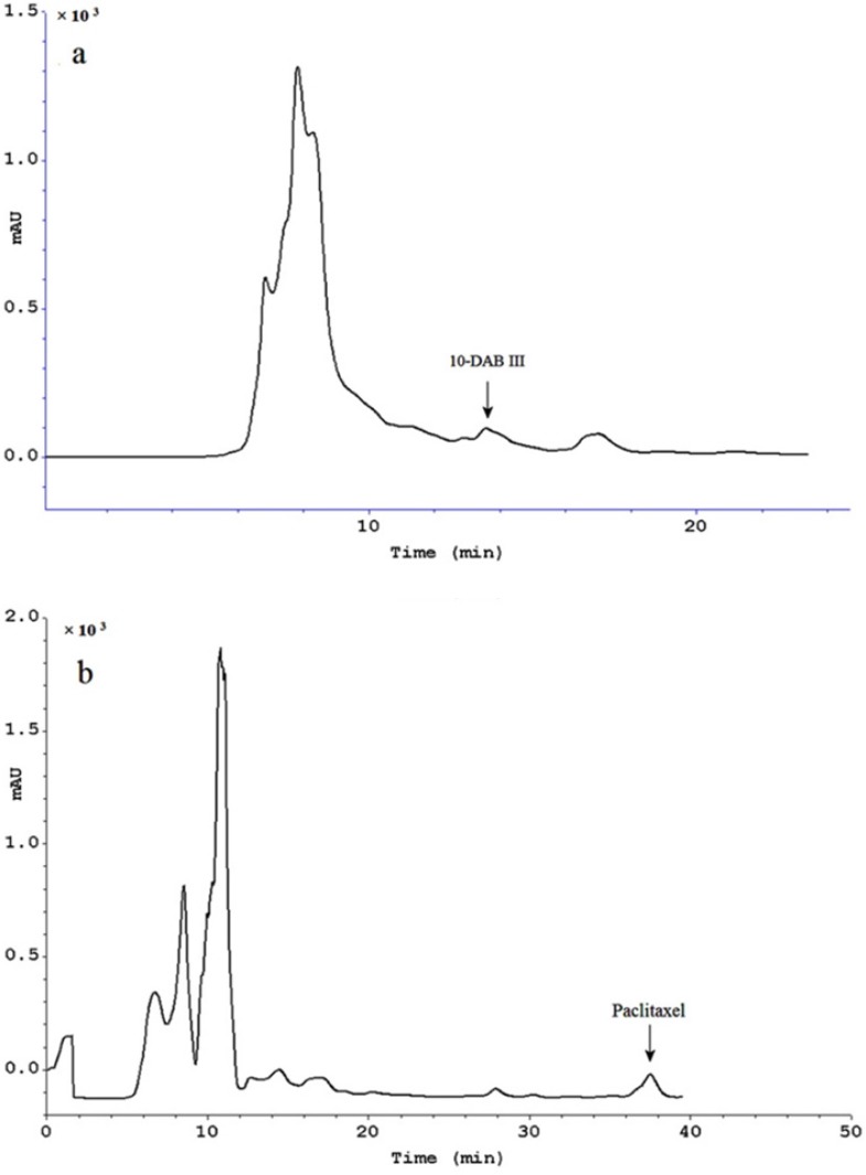 Analytical HPLC chromatogram comparing using our procedure including Diaion® HP-20 as column and then hydrophilic interaction SPE (black) and conventional solid liquid extraction (gray), for purification of paclitaxel (a) and 10-DAB III (b). Separation conditions involved a mobile phase composition of water: acetonitrile in ratio of 55:45 for paclitaxel analysis and in ratio of 70:30 for 10-DAB III. The flow rate was 1.0 mL/min, with an injection volume of 20 µL. Detected at 230 nm.