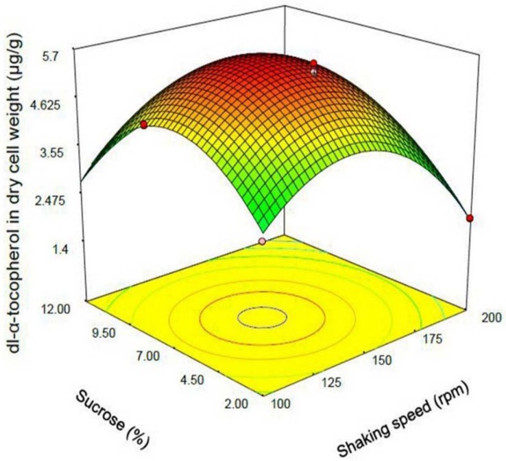 Response surface plot indicating the effect of sucrose (% w/v) added to culture medium and shaking speed (rpm) interaction on dl-α-tocopherol amount per dry cell weight of S. cerevisia