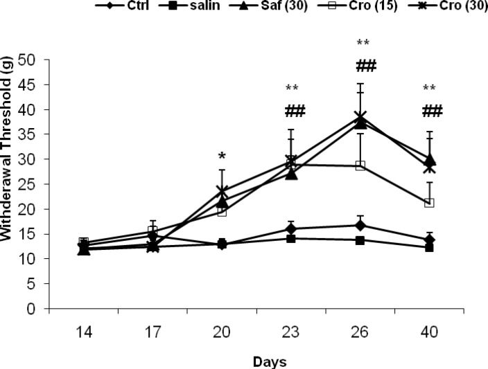 Effects of chronic uses of saffron extract and crocin on mechanical allodynia – induced by CCI. Data are expressed as the mean ± SEM. b1P = 0.007; b2P = 0.005, c1P = 0.001, and c2P = 0.004 as compared with the CCI + Saline group at the same day. C: crocin; SE: saffron extract