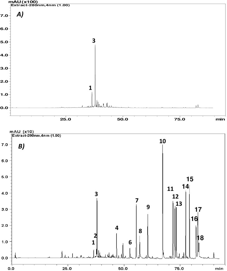 HPLC Chromatograms recorded at 280nm of Rosmarinus officinalis L. extracts: A) Methanolic extract, and B) Ethyl acetate extract. Only peaks corresponding to phenolic compounds or related compounds are indicated