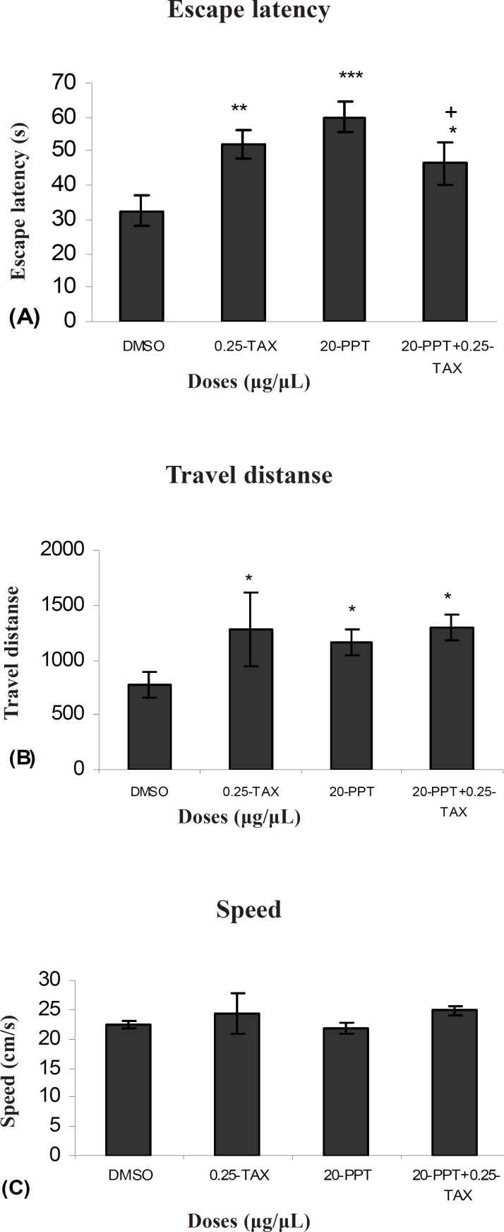 Escape latency (A), average traveled distance (B) and swimming speed (C) across all training. Figures show a significant difference in traveled distance *P < 0.065 and escape latency *P < 0.03 between TAX (0.25μg/μl) + PPT (20μg/μl) treated group with the control group. Also show a significant difference in traveled distance+ P <0.047 between TAX (0.25μg/μl) + PPT (20μg/μl) treated group with PPT (20μg/μl) treated group