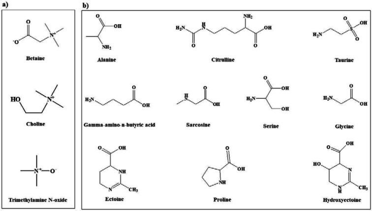 Chemical structures of the most common osmolytes belonging to (a) methylamine and (b) amino acid classes