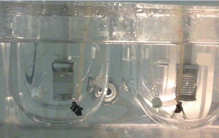 The system used for dissolution and permeation studies showing rat everted gut sac hanged into dissolution apparatus type II in vertical position containing Tyrode solution. The medium is constantly oxygenated through perfusion tubes