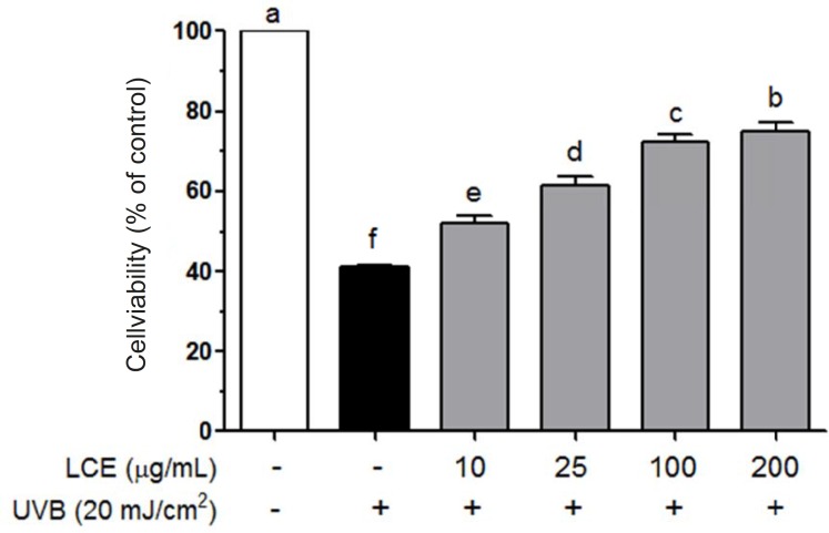 Effects of Lindera coreana leaf ethanol extracts (LCE) on cell viability in UVB (20 mJ/cm2) irradiated HaCaT keratinocytes. Data are representative of three independent experiments as mean ± SD. a~f Mean values with different letters on the bars are significantly different (p < 0.05) according to Duncan’s multiple range test