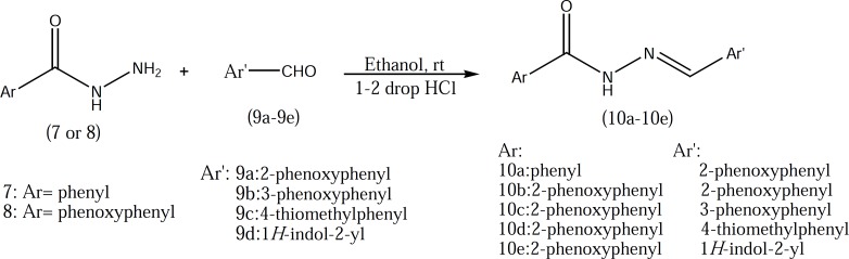 Synthesis of target compounds (hydrazide derivatives).