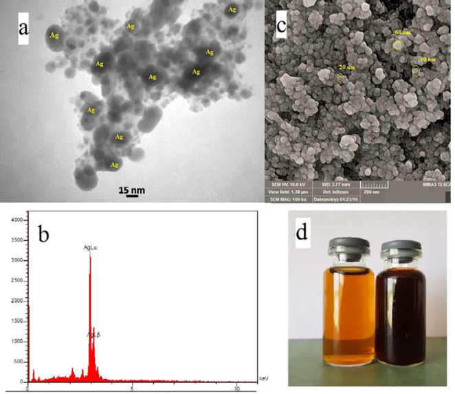 (a) TEM micrograph of the silver nanoparticles (b) EDS diagram (c) SEM micrograph at 200nm (d) Color changing after reaction which dark brown is synthesized SNPs