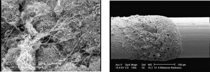SEM images of a: MWCNTs before being used in polymerization process and b: film coating (PANI/MWCNTs composite) on the platinum wire