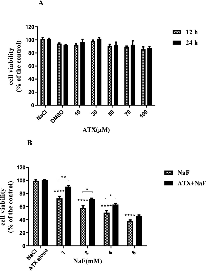 Effect of NaF exposure and ATX pretreatment on the viability of astrocyte cells. (A) Astrocyte cell viability was measured by MTT assay at 12 h and 24 h after treatment with different concentrations of ATX. (B) Cells were exposed to 1, 2, 4, and 6 mM NaF alone (NaF) and after pretreatment with 30 μM ATX (ATX+NaF). The NaCl, DMSO and ATX alone as controls were also shown