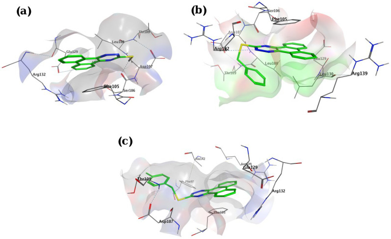 View of binding pocket of Bcl-2 docked with compounds P1 (a), P11 (b) and P15 (c). Bcl-2 is shown as surface, and for ligands carbon, nitrogen and sulfor atoms are shown in green, blue and yellow, respectively