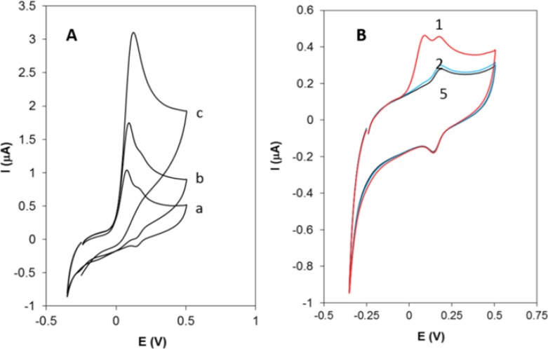 A) Cyclic voltammograms of Hy-HCl at GCE in 0.1 M PBS (pH 7.0) with different concentrations: (a) 0.2, (b) 0.4 and (c) 0.8 µM. (B). Successive cyclic voltammograms recorded at a GCE in 0.1 PBS solution already dipped in 0.2 µM solution of Hy-HCl for 60 sec