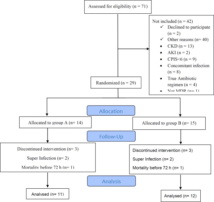 Disposition of MDRA VAP patients included in the analysis of the impact of levofloxacin/Colistin and levofloxacin/high dose ampicillin-sulbactam infusion