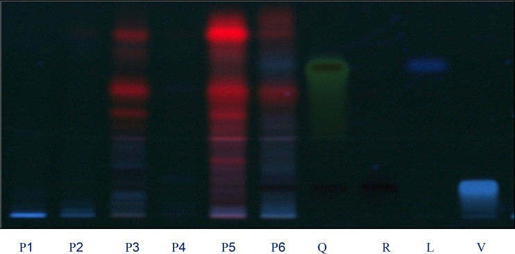 Chromatograms obtained from separation of plant extracts of P1, P2, P3, P4, P5, P6 and standards Q: quercetin, R: rutin, C: Luteolin and V: vitexin (sample codes are explained in Table 1) Visualization was under UV light of wavelength 366 nm